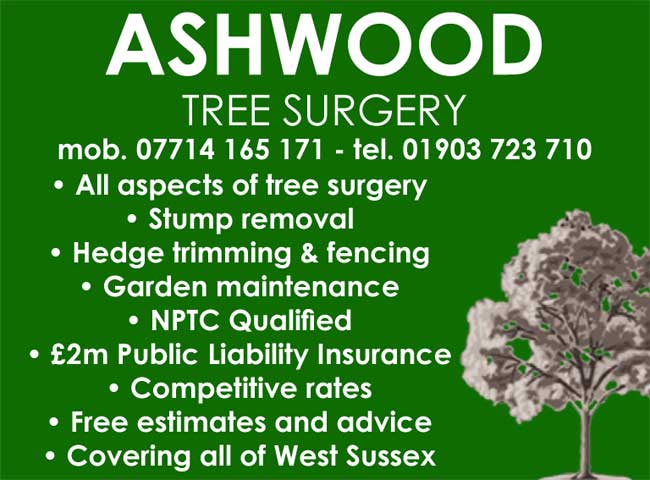 Ashwood Tree Surgery