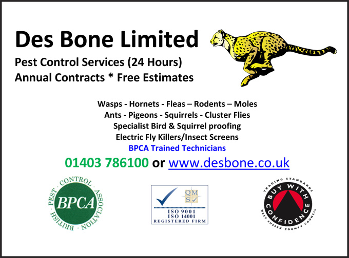 Des Bone Ltd