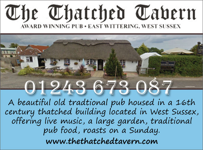 The Thatched Tavern