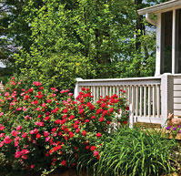 Paul Cottingham & Sons - Garden Maintenance & Landscapes