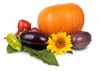 Christine's Catering