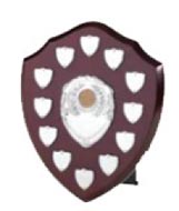 Arundel Trophies & Engraving