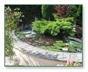 Shakespeare's Landscapes