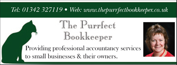 The Purrfect Bookkeeper