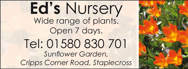 Ed's Nursery
