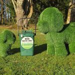 Pet Waste Solutions